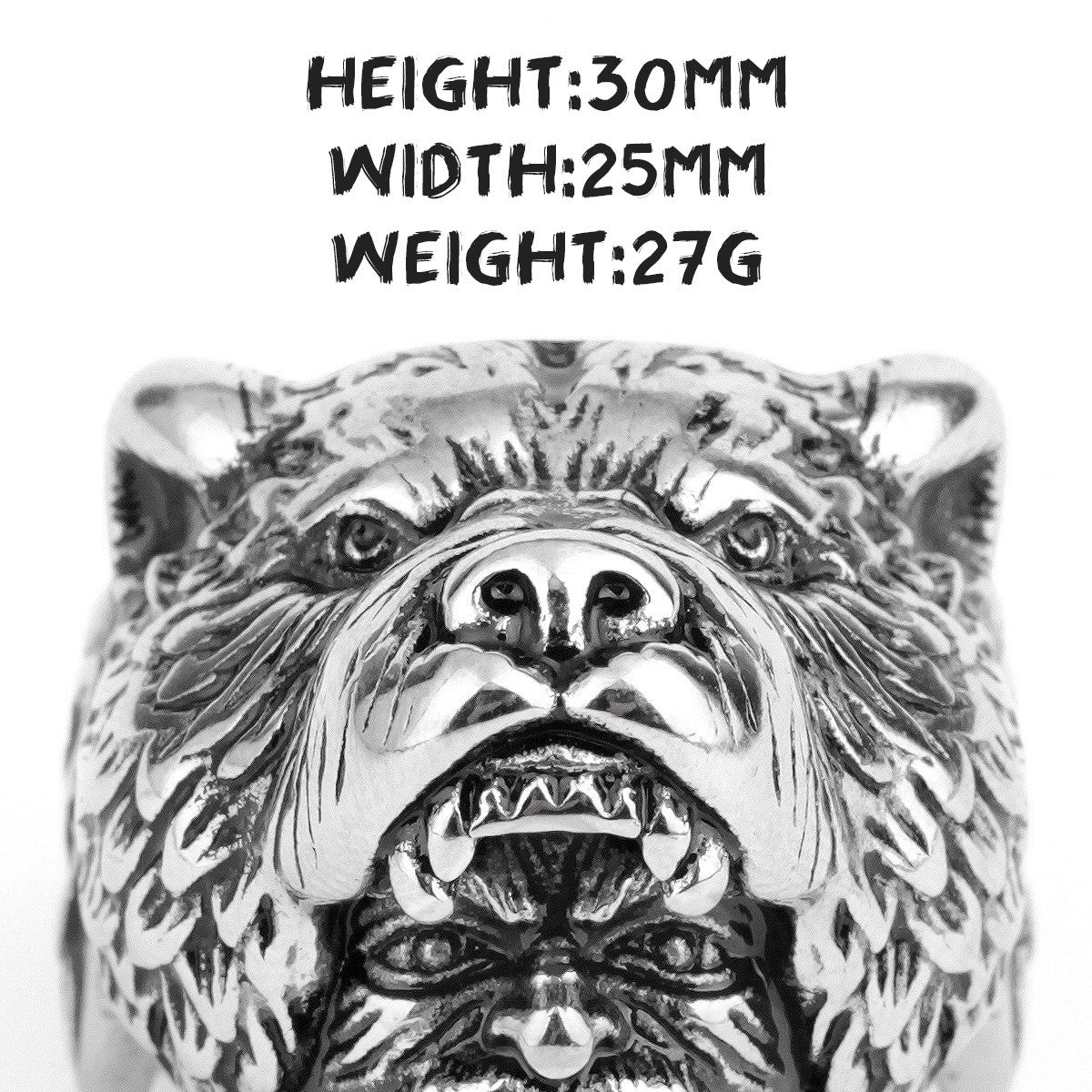 Viking Warrior | 316L Stainless Steel Strength Under Pressure Street Wear Rings